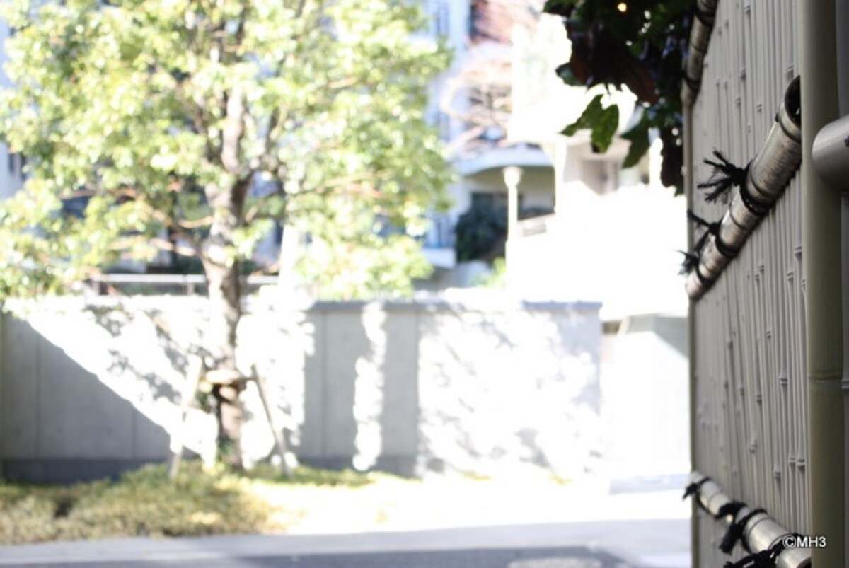 隣地を囲う柵。正面がマンションの門構えである