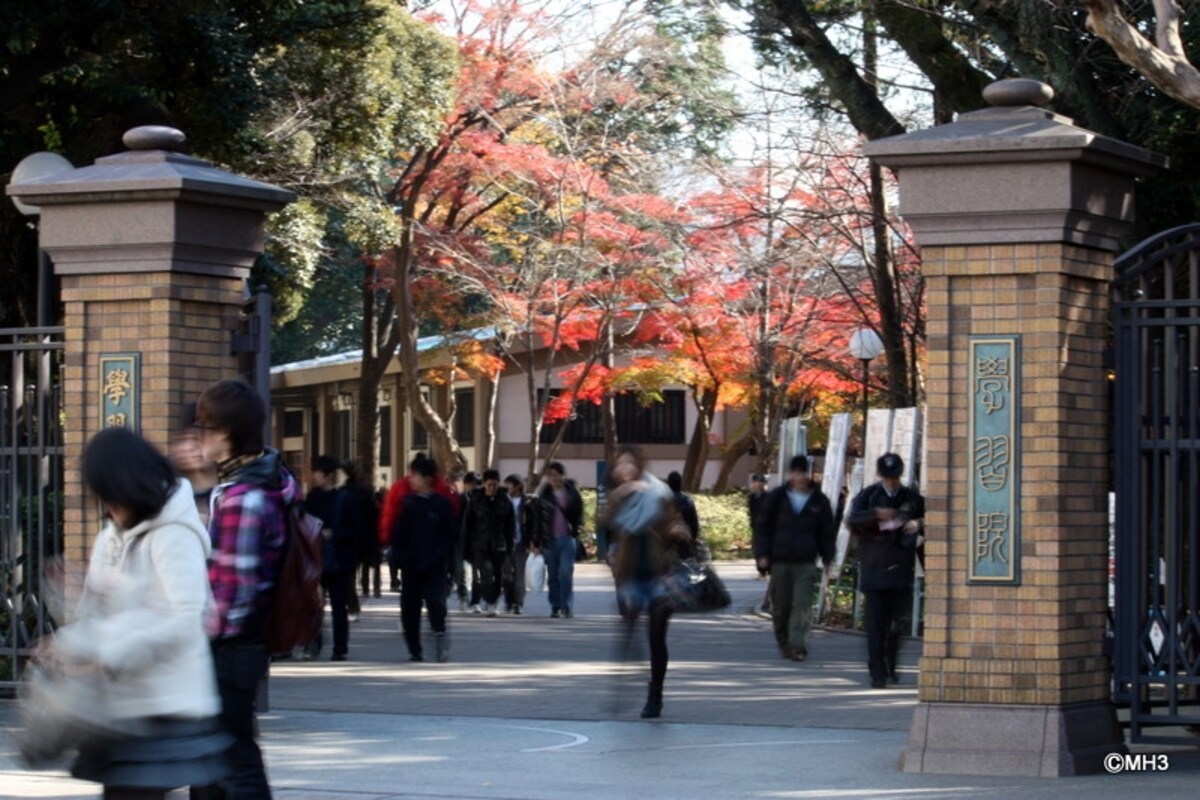 広大な自然のある「学習院目白キャンパス」
