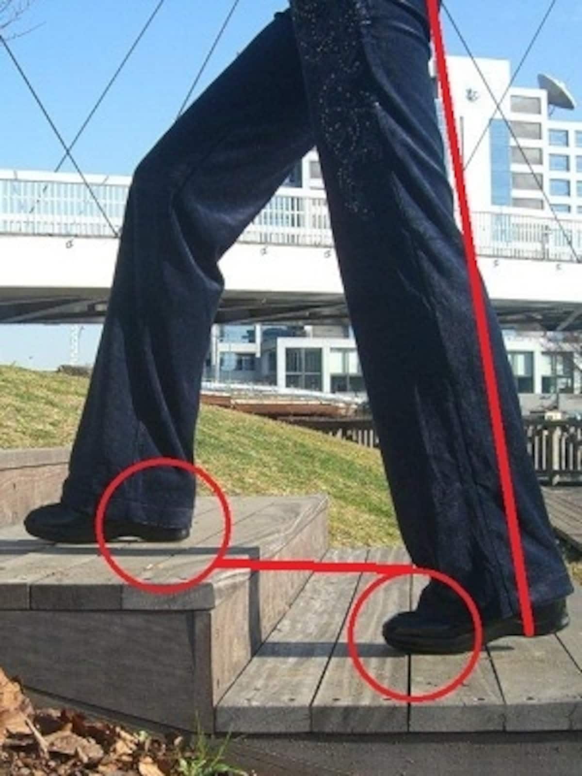 後ろ脚で身体を前に