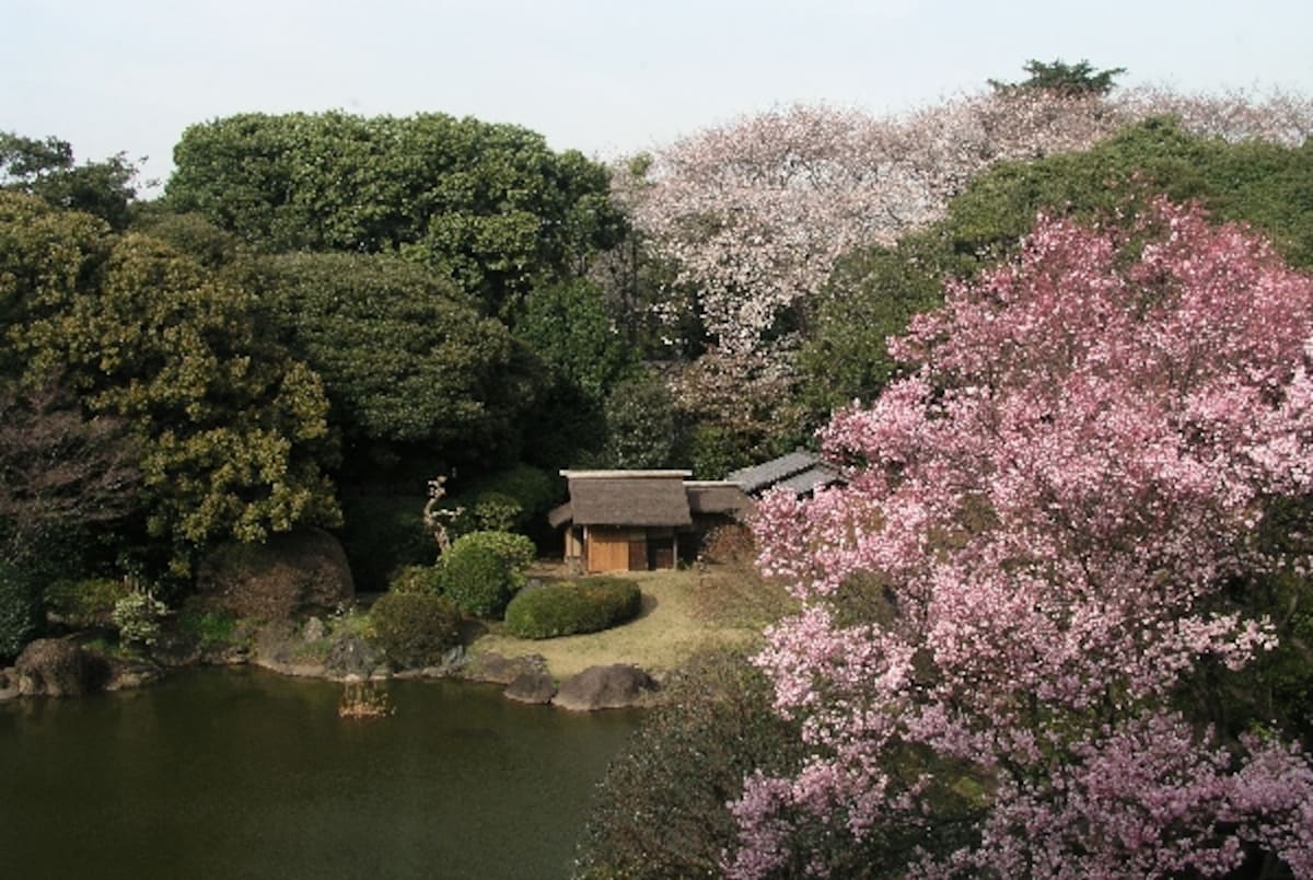 春の庭園