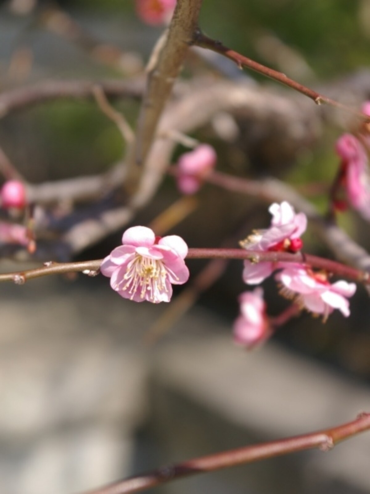 香り