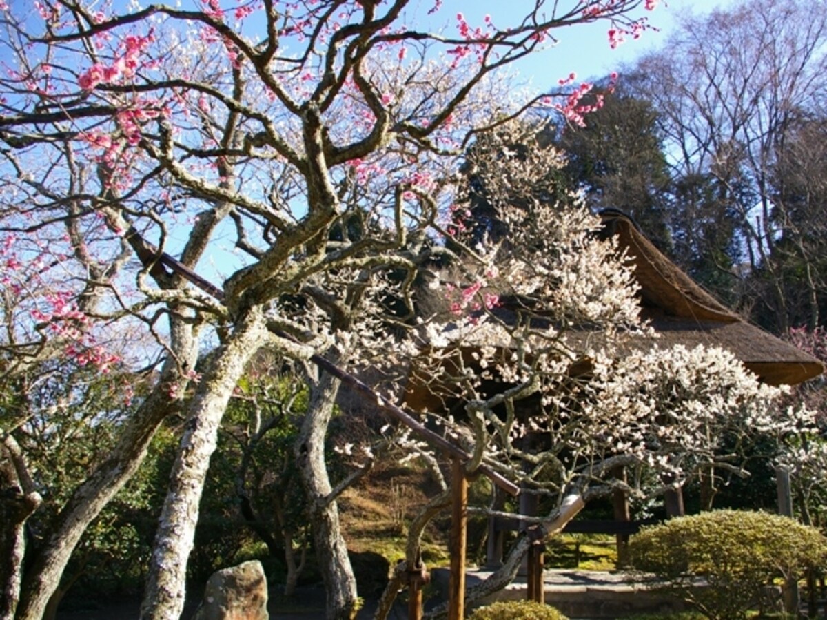 東慶寺