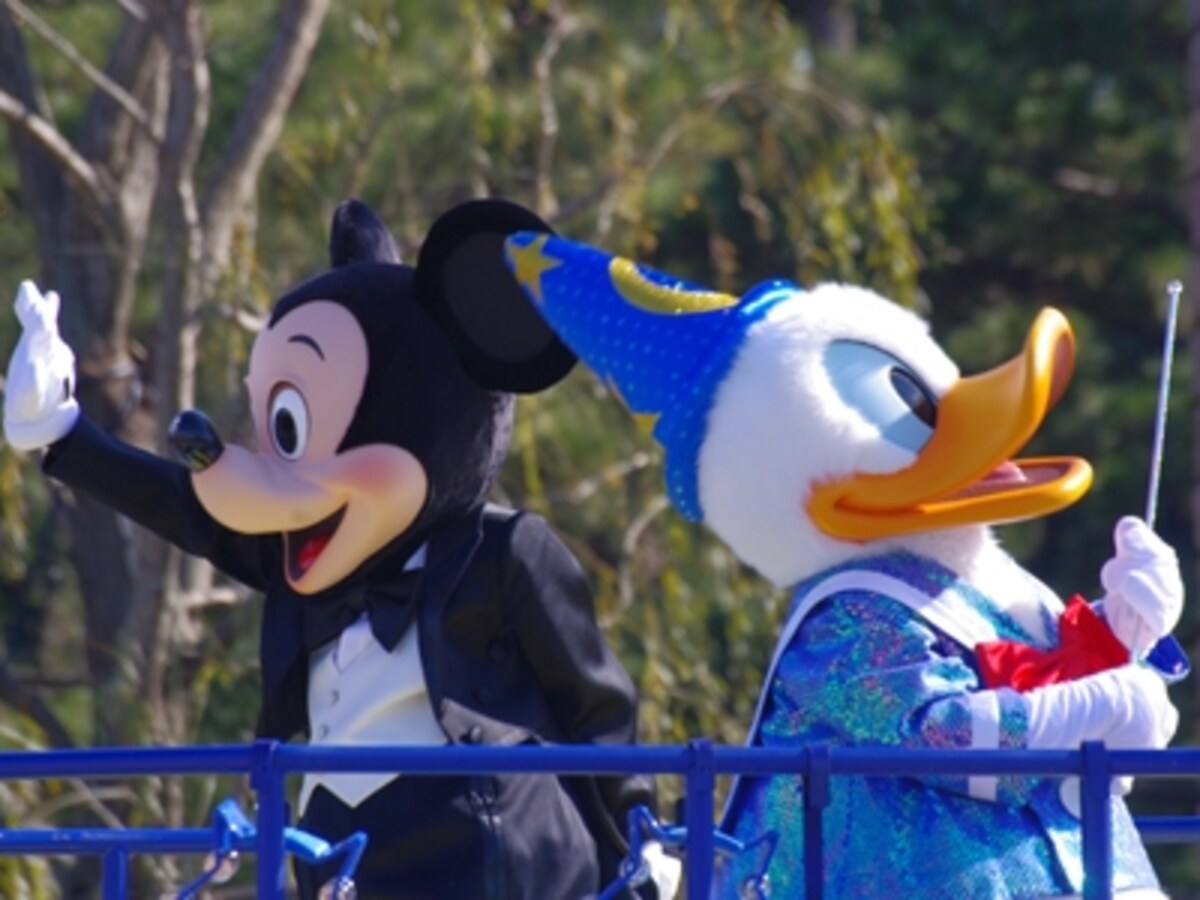TDL