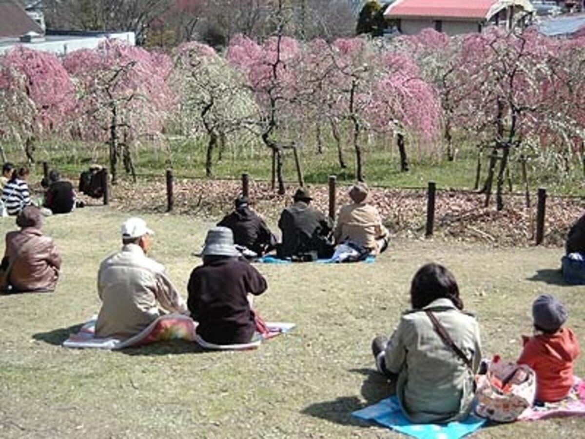 芝生広場