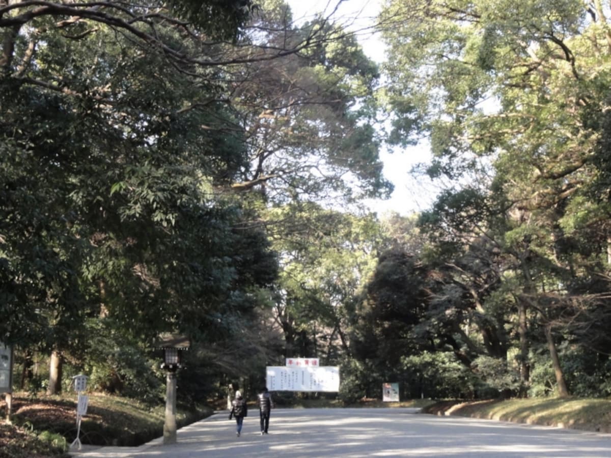 明治神宮そのものが、パワースポットというかんじだ。