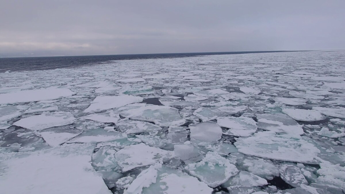 流氷帯の中に突入（2）