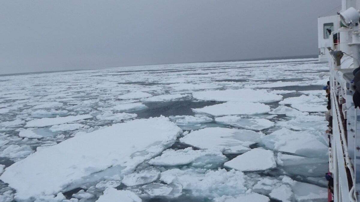 流氷を割りながら前に進む流氷観光砕氷船「おーろら」