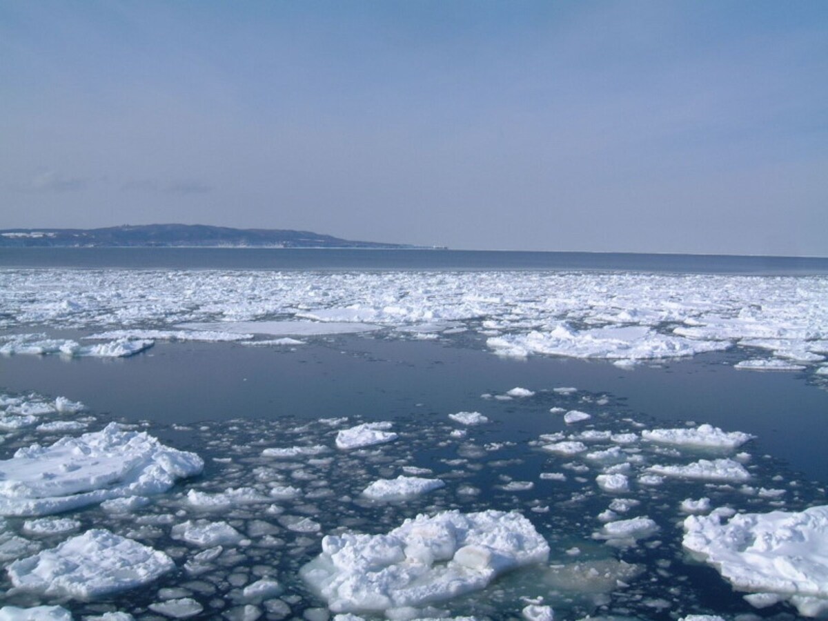 流氷の中から能取岬を望む