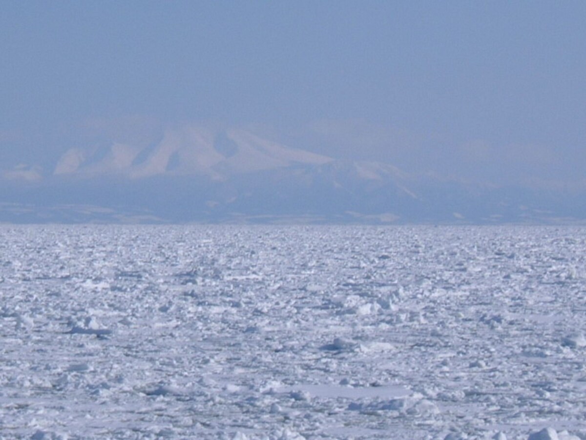 流氷原から硫黄山・羅臼岳を望む