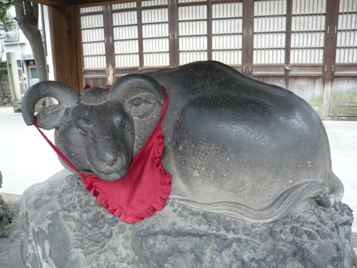 撫牛