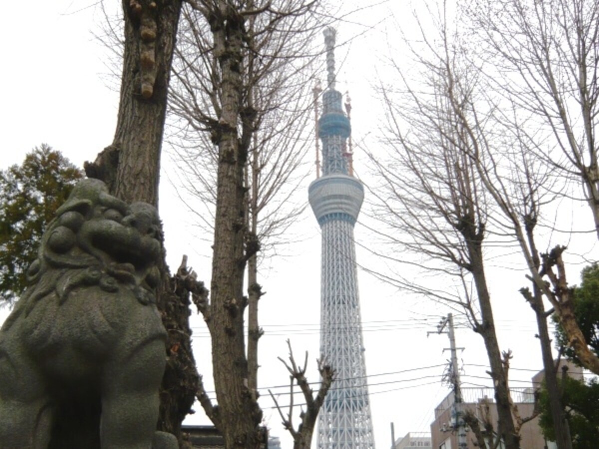 スカイツリー