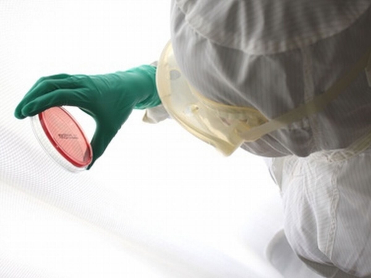 医薬品の研究開発から流通まで　要約