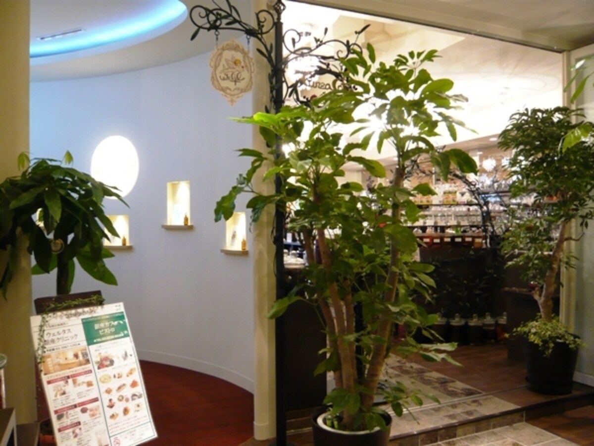 Welltas GINZA