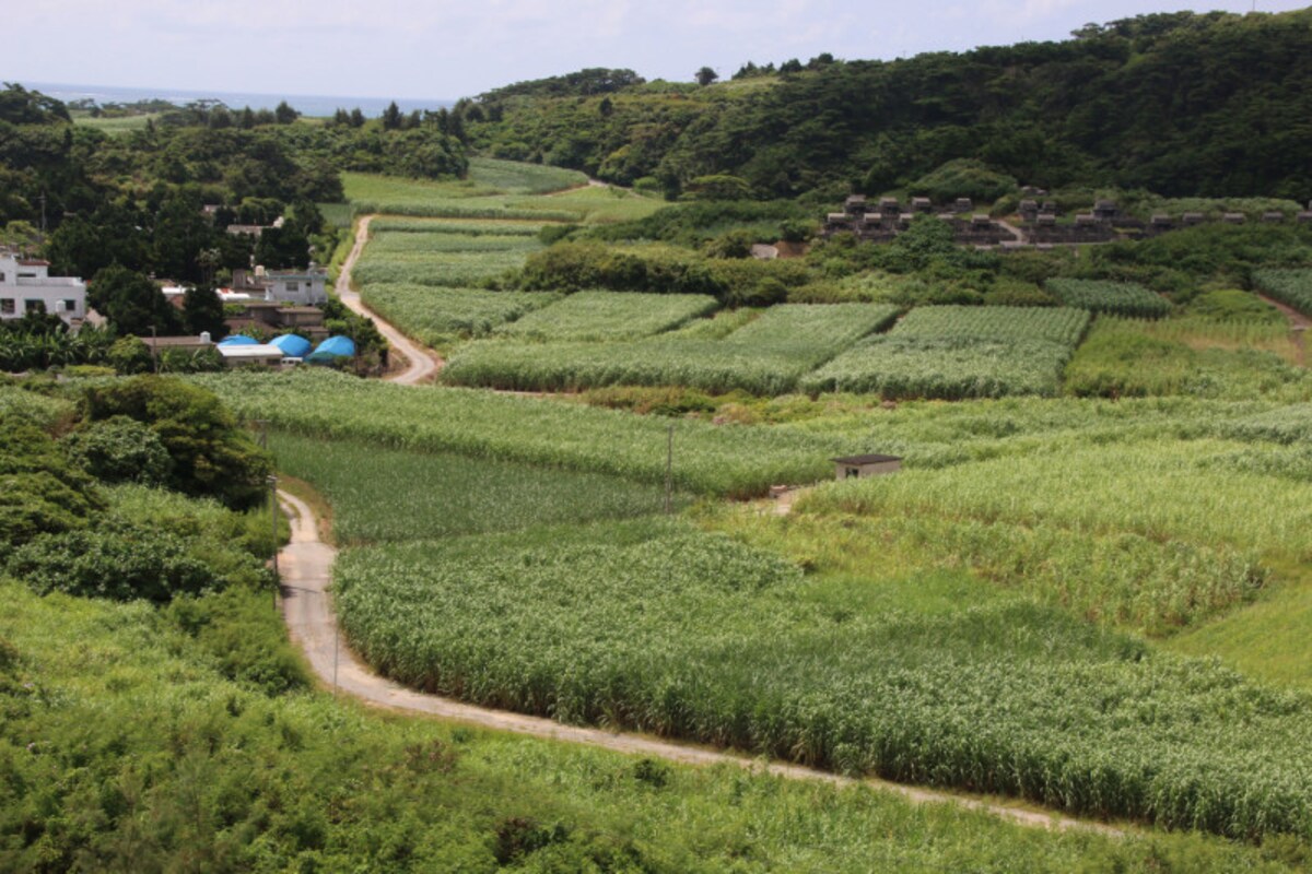 kumejima