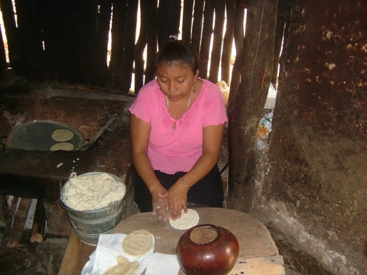 メキシコ料理