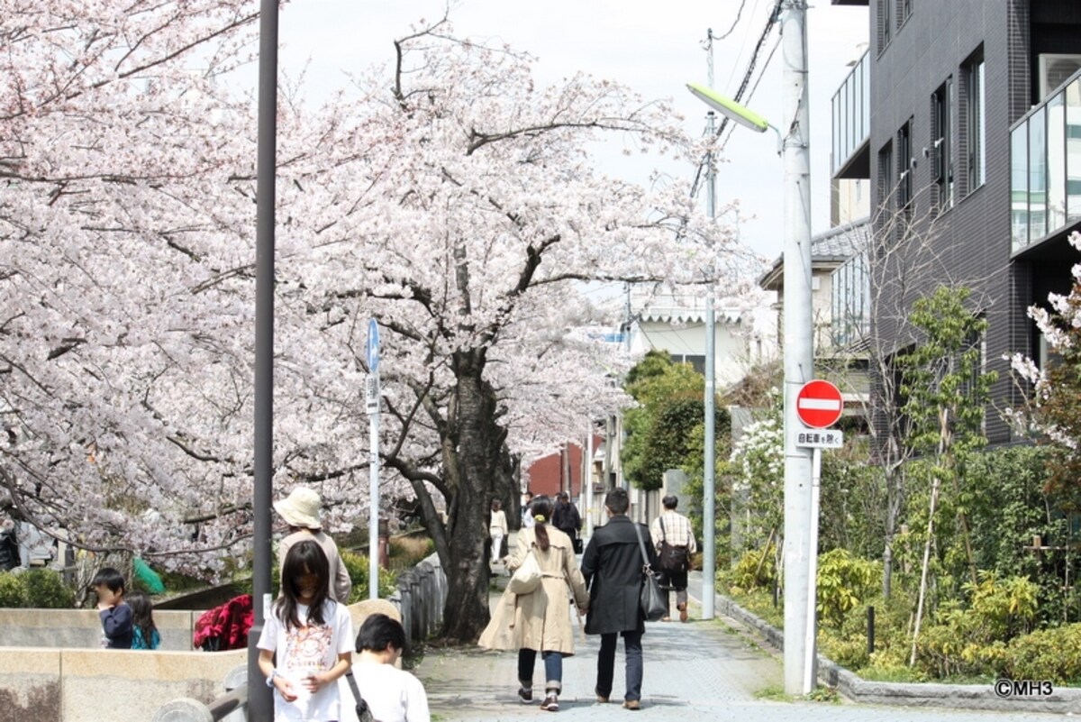 パークハウス新町櫻雅