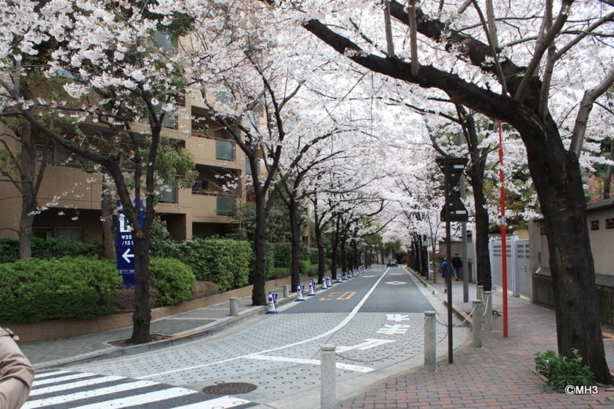 アークタワーズサウス