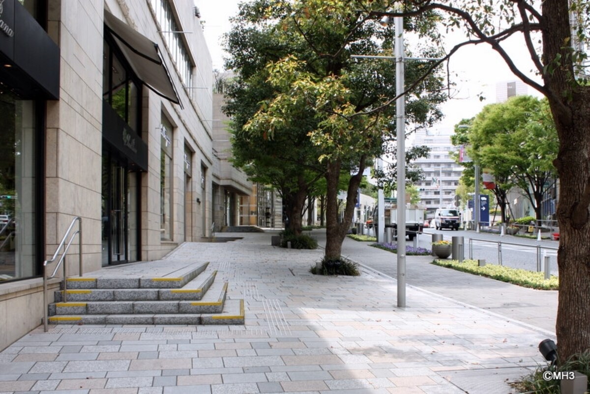 エントランスを出た風景。ケヤキ坂の街路樹も年々成長しているようだ。