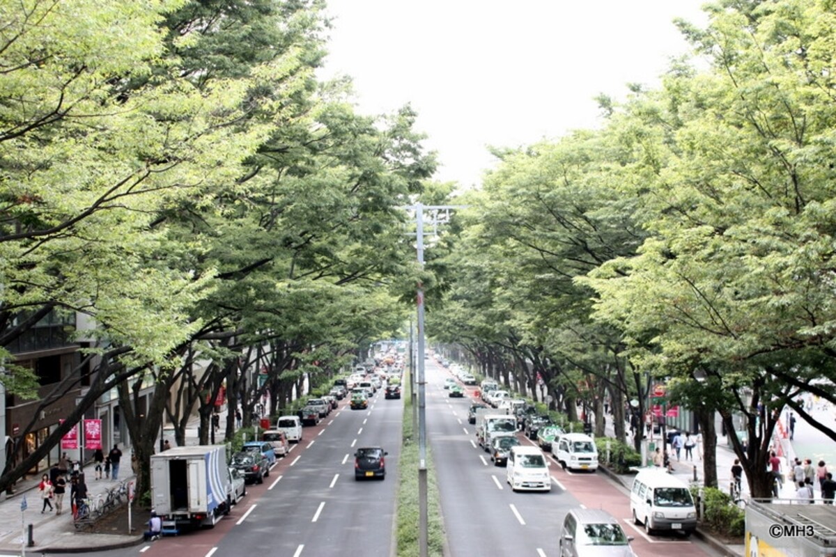 表参道
