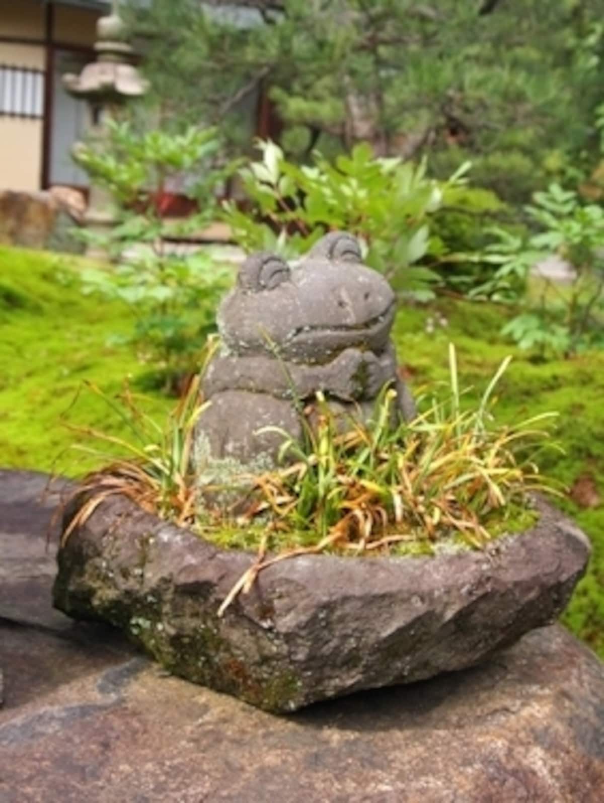 カエル
