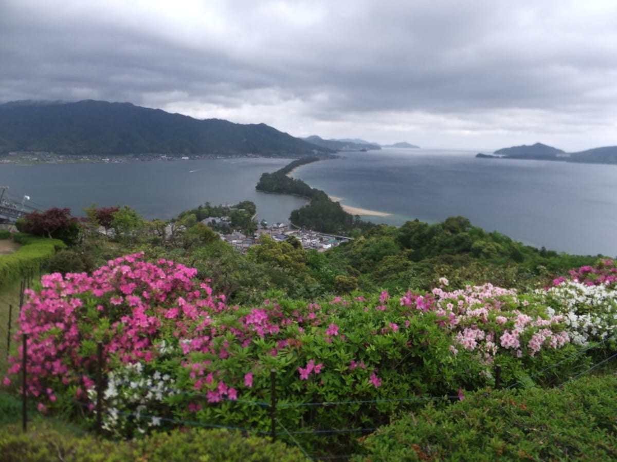天橋立(1)/飛龍観