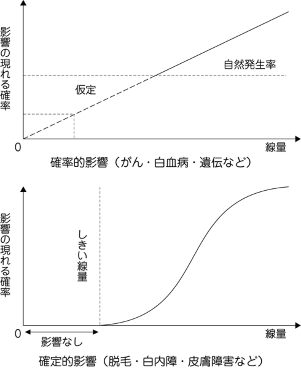 グラフ