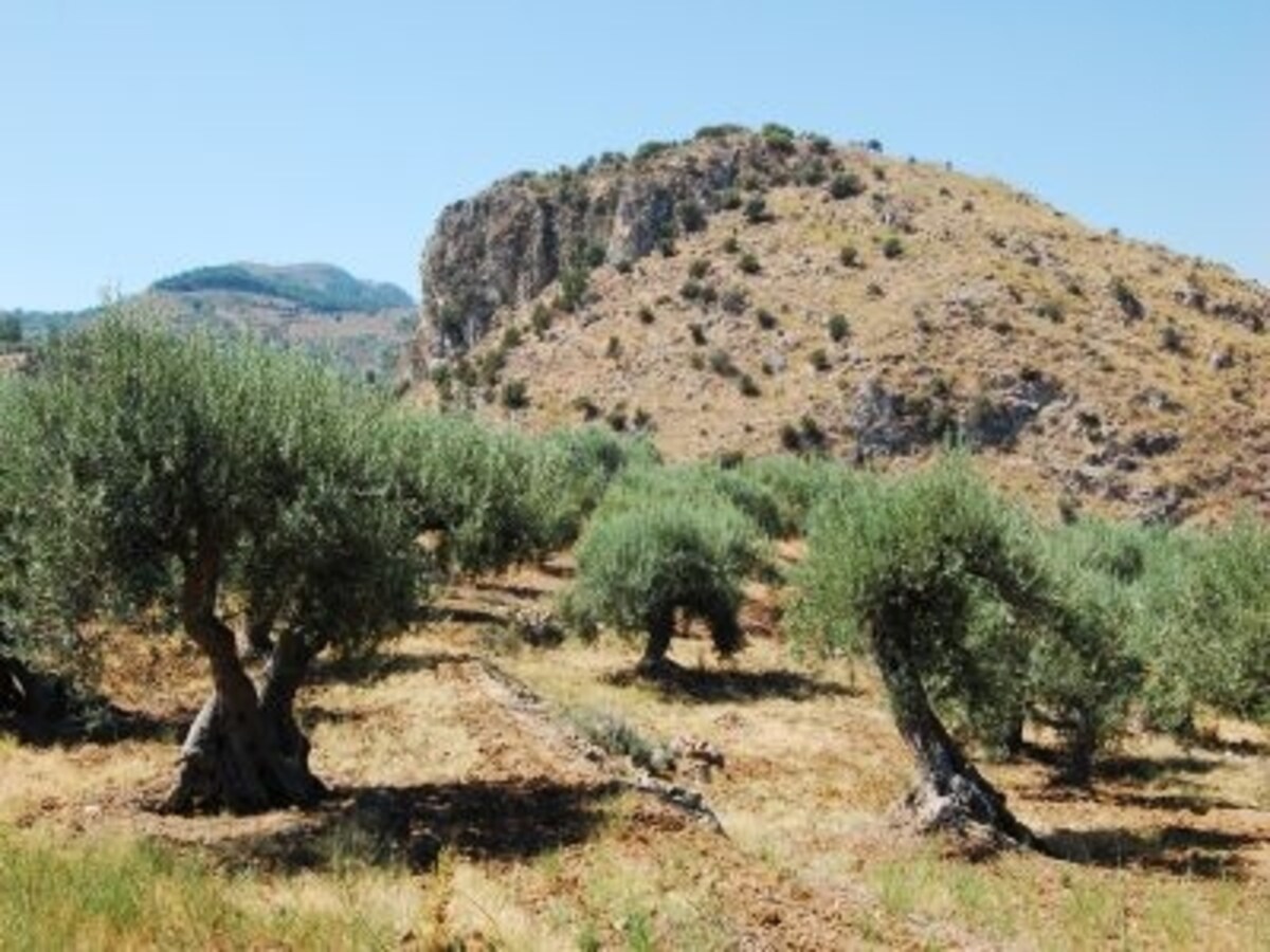 sawa_sicilia2