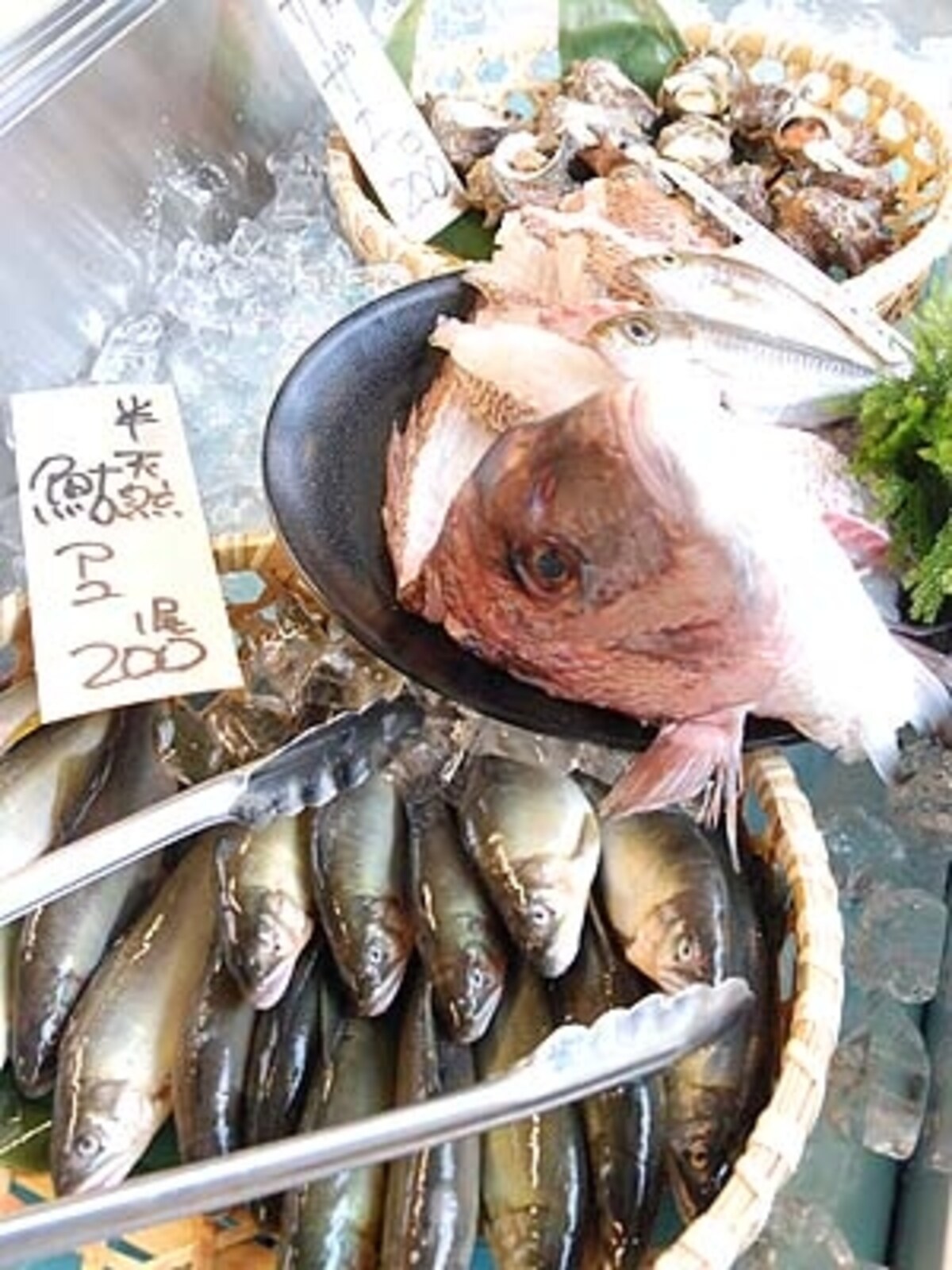 柳橋ビアガーデン