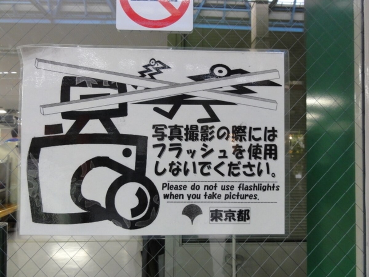 カメラの設定をたしかめ、フラッシュをたかないように。