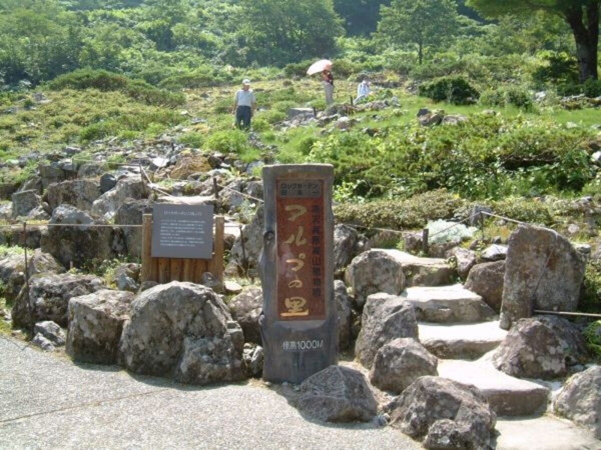 湯沢高原アルプの里・ロックガーデン