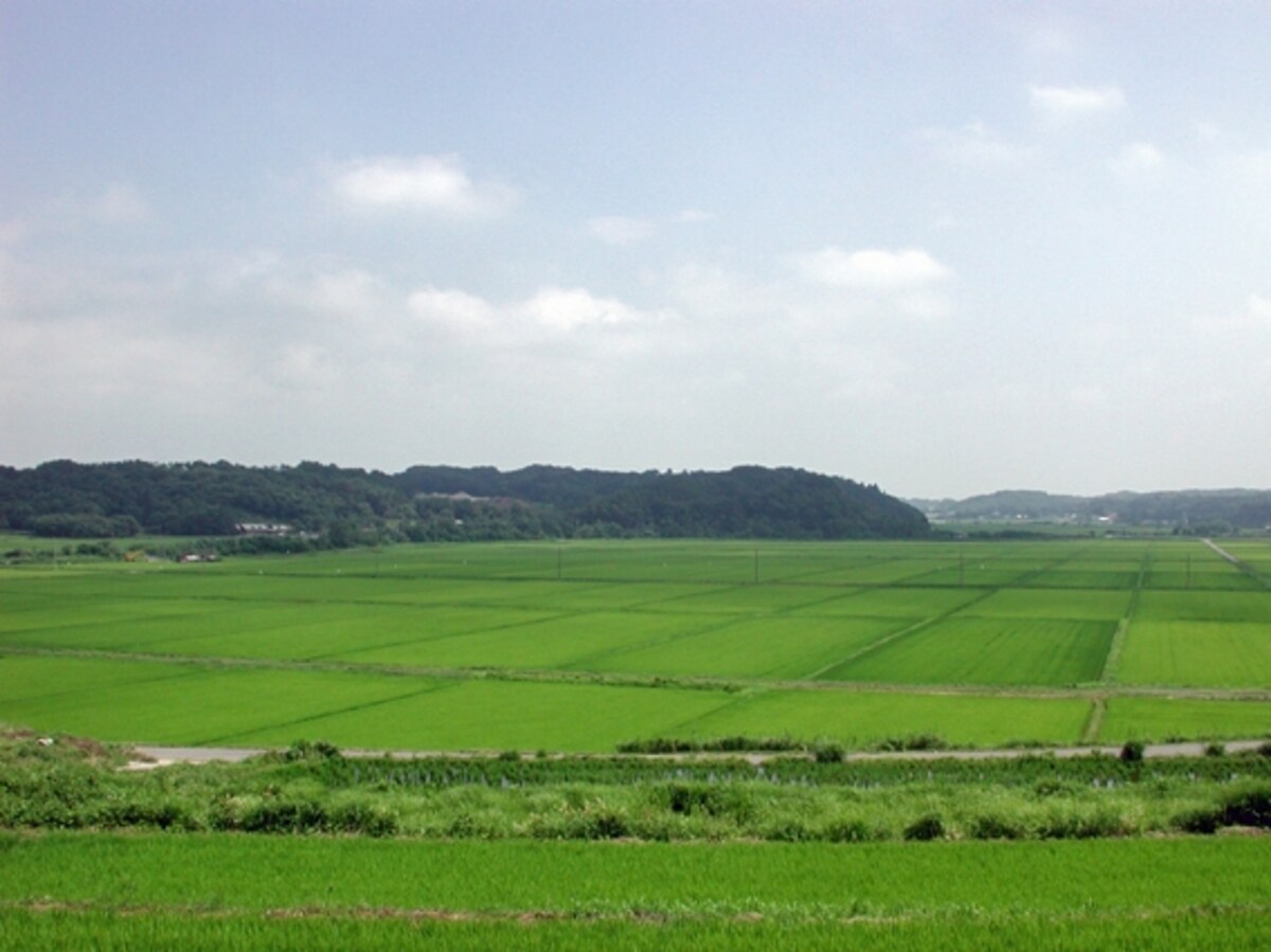 米屋