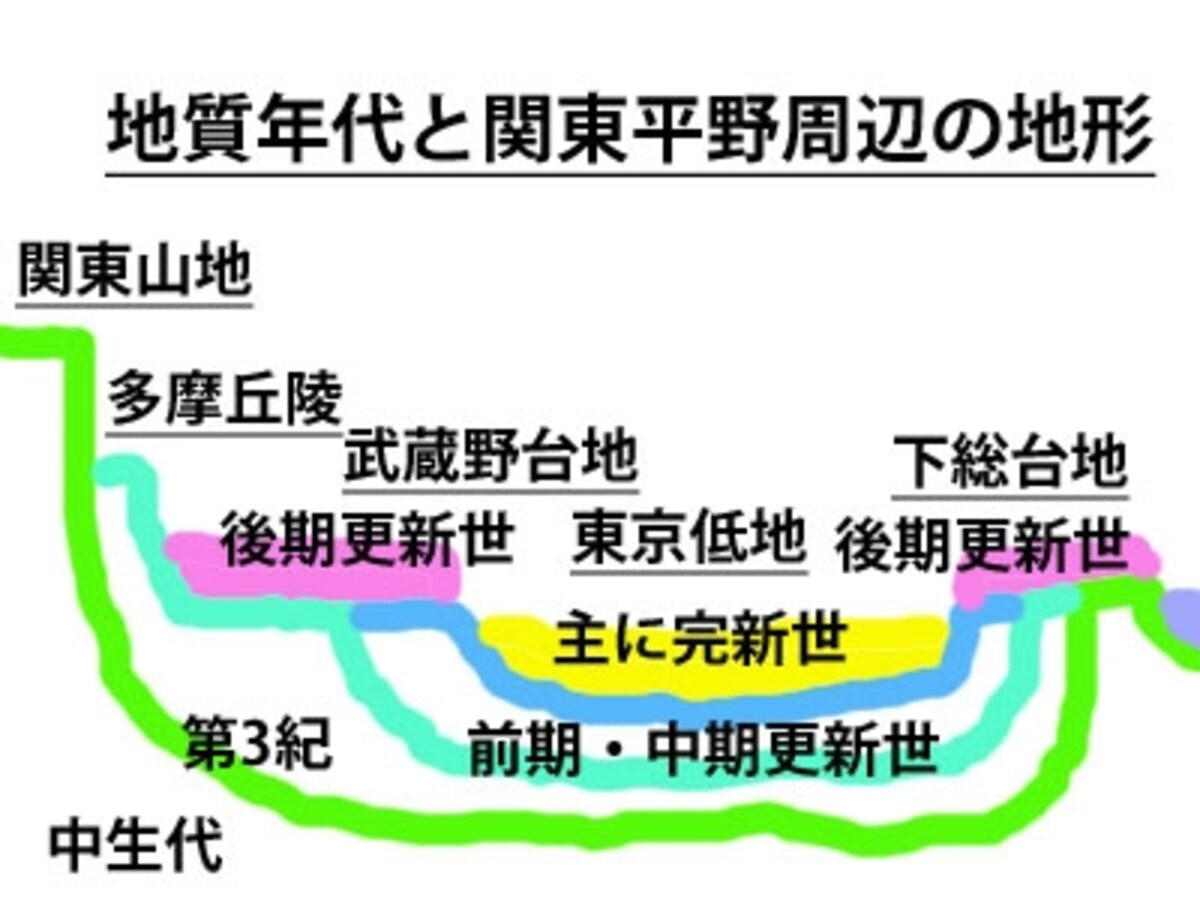 模式図