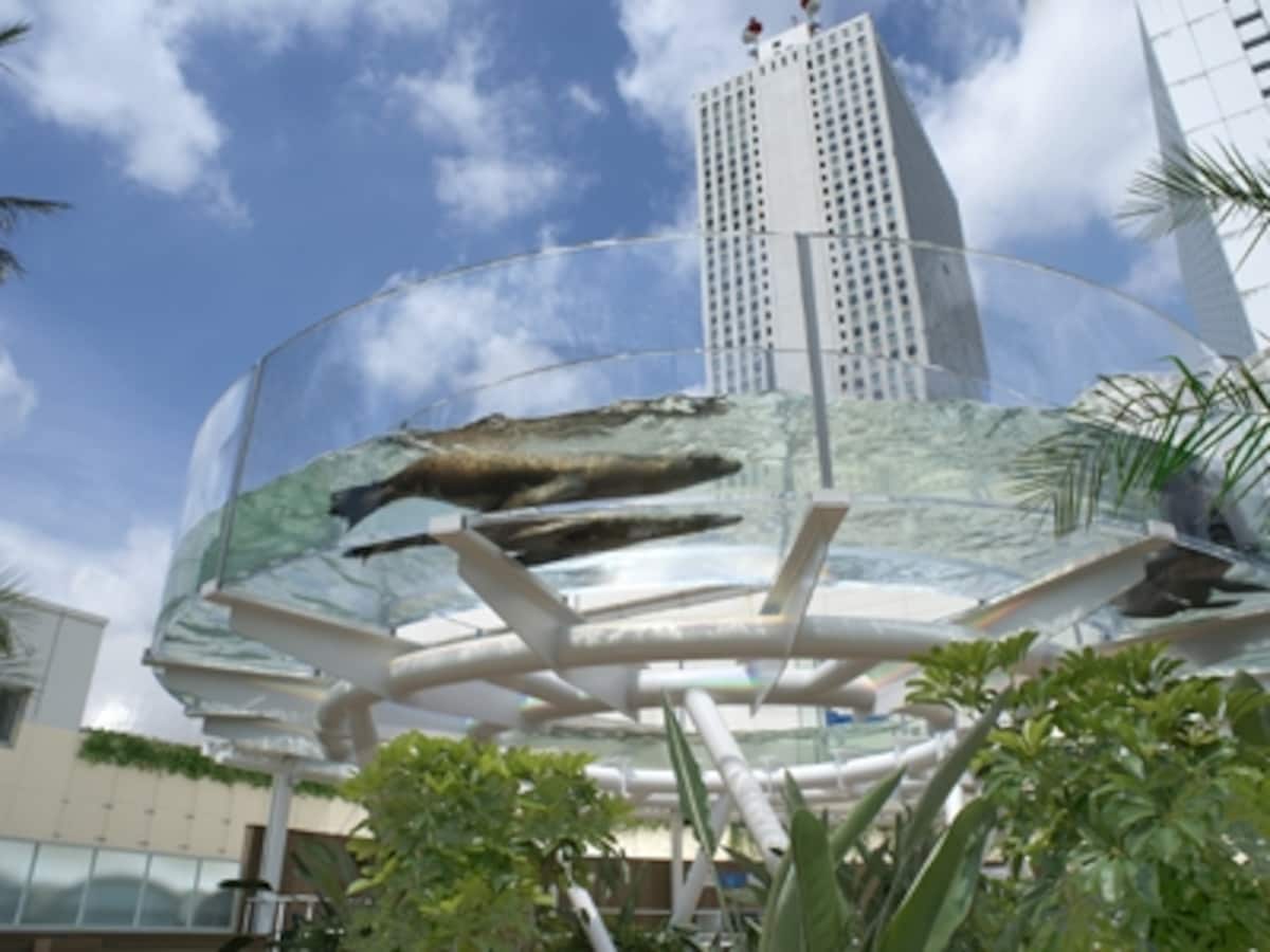 サンシャイン水族館