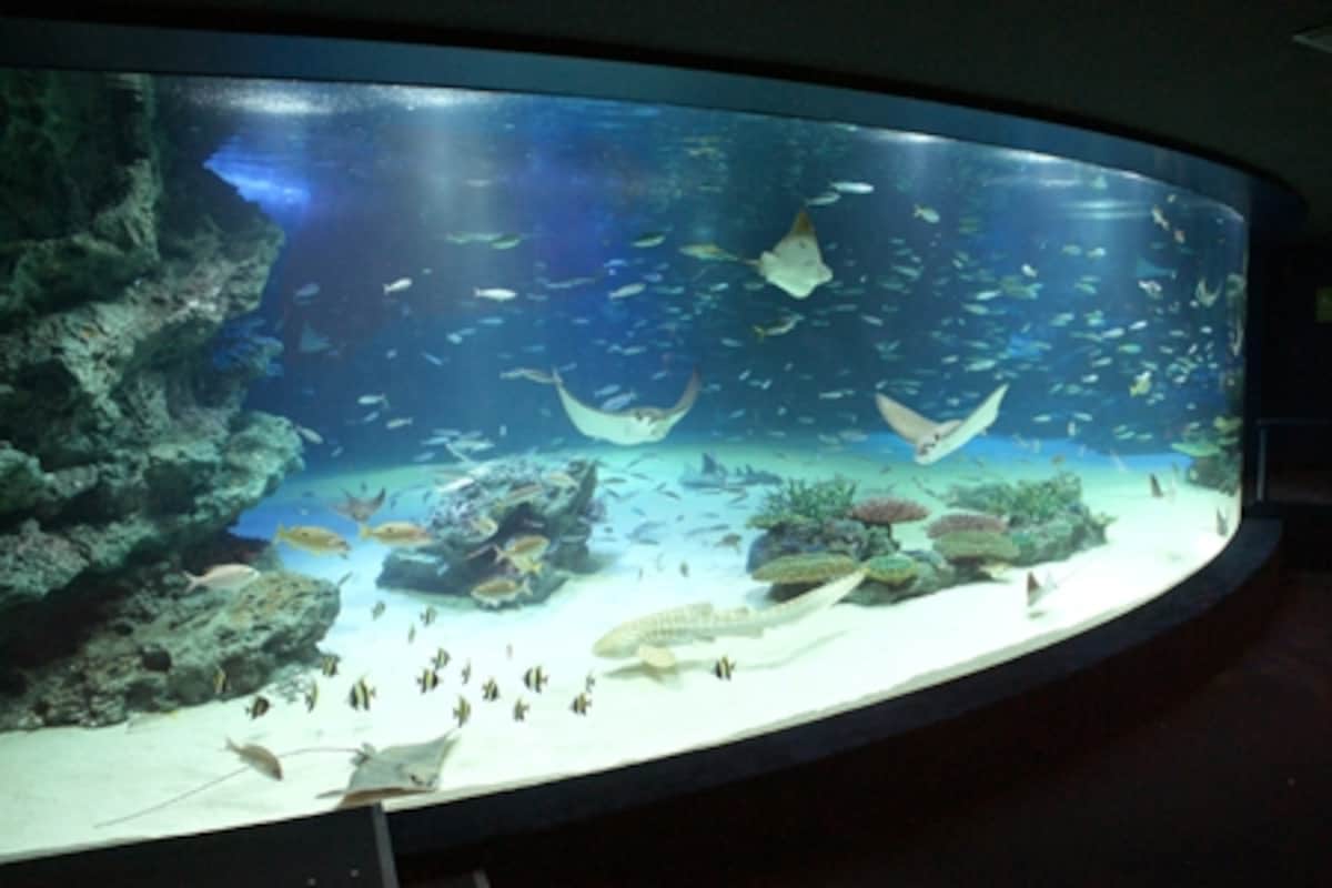 サンシャイン水族館