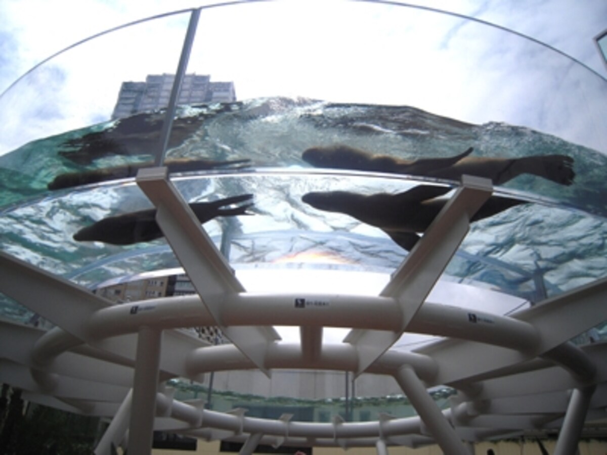 サンシャイン水族館
