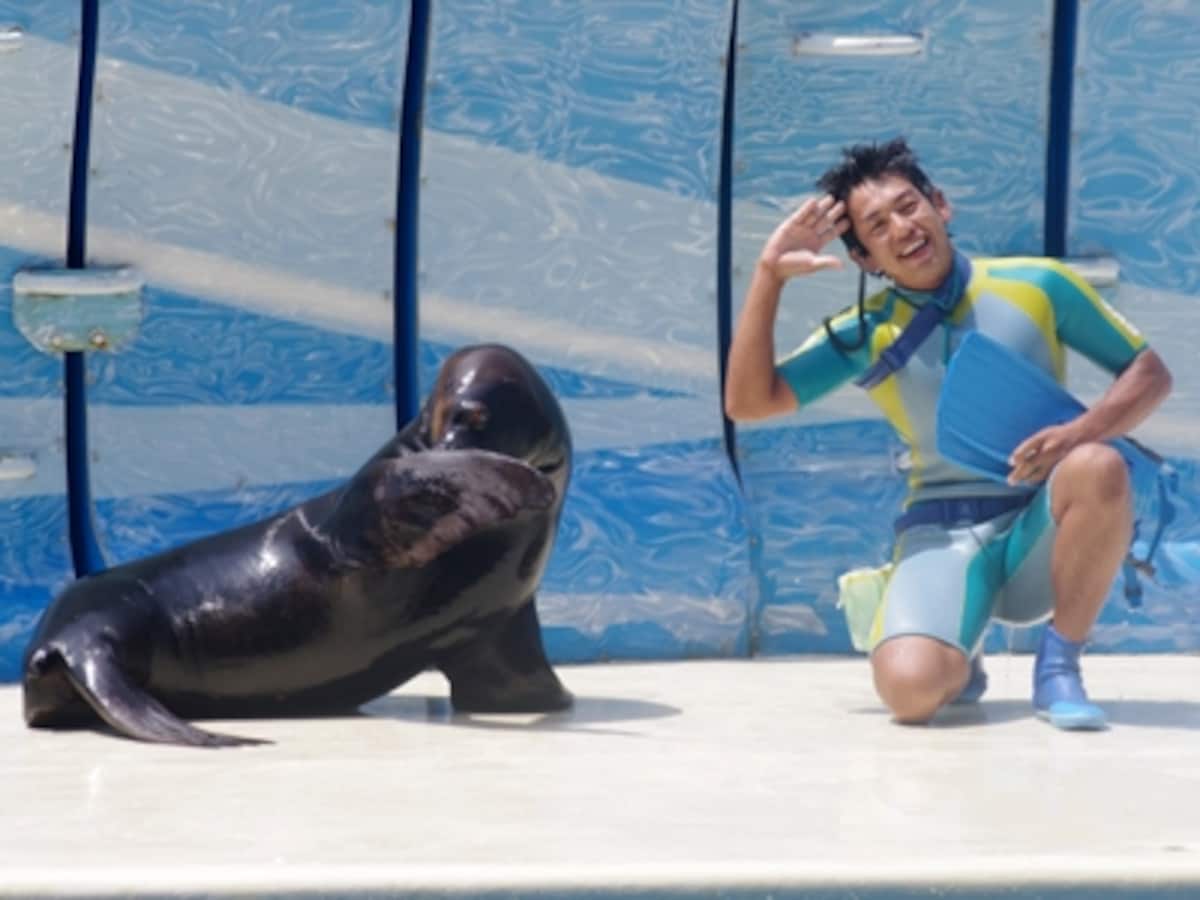 新江ノ島水族館