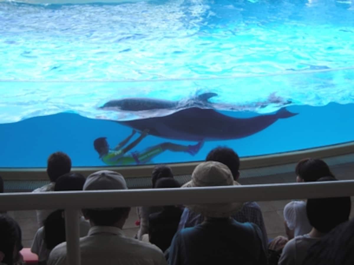 新江ノ島水族館