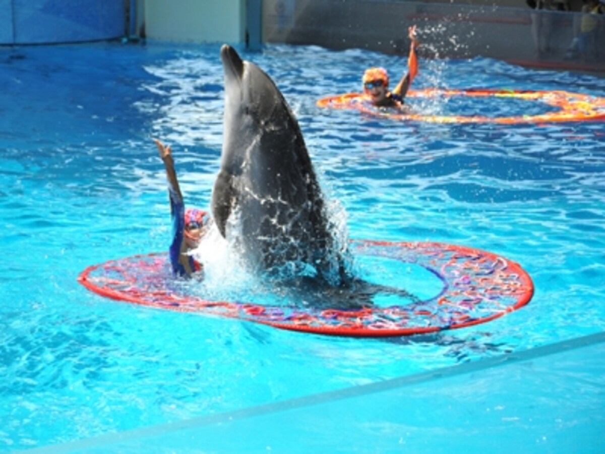 新江ノ島水族館