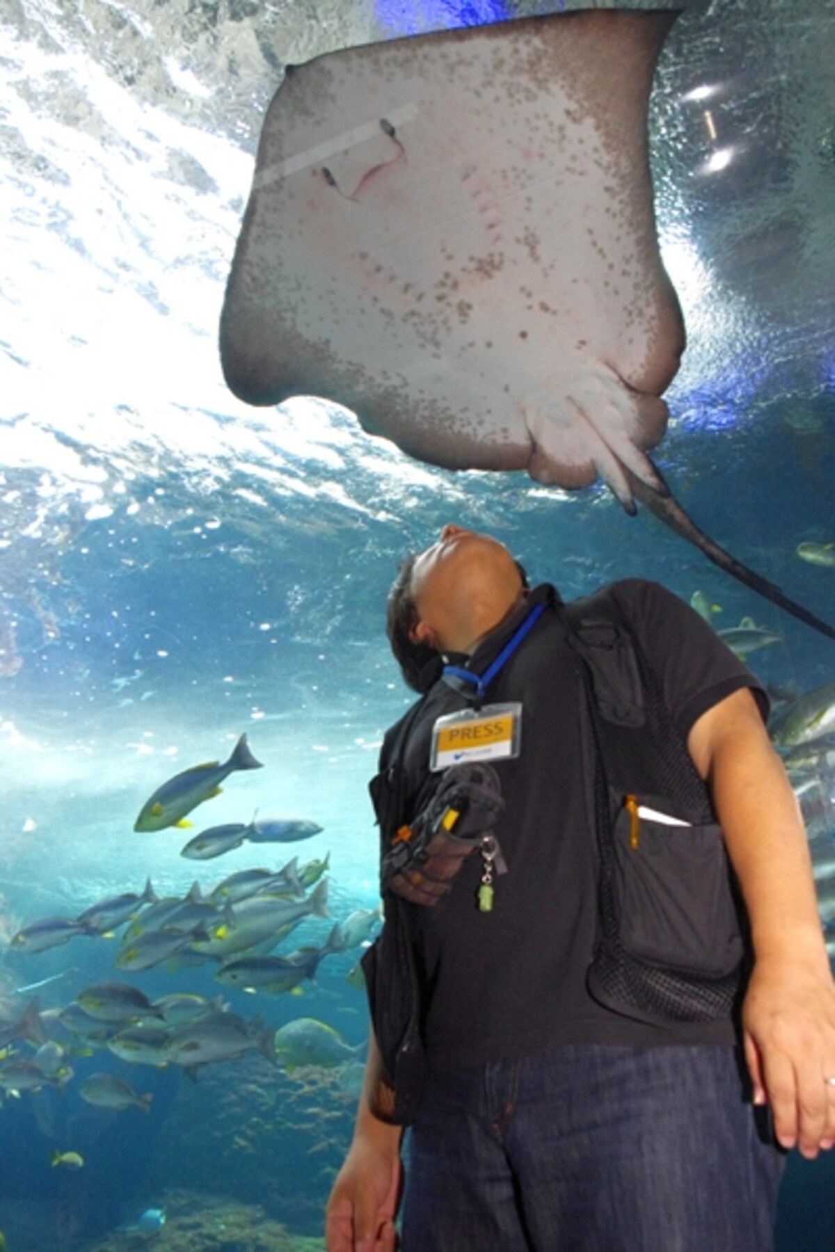 新江ノ島水族館