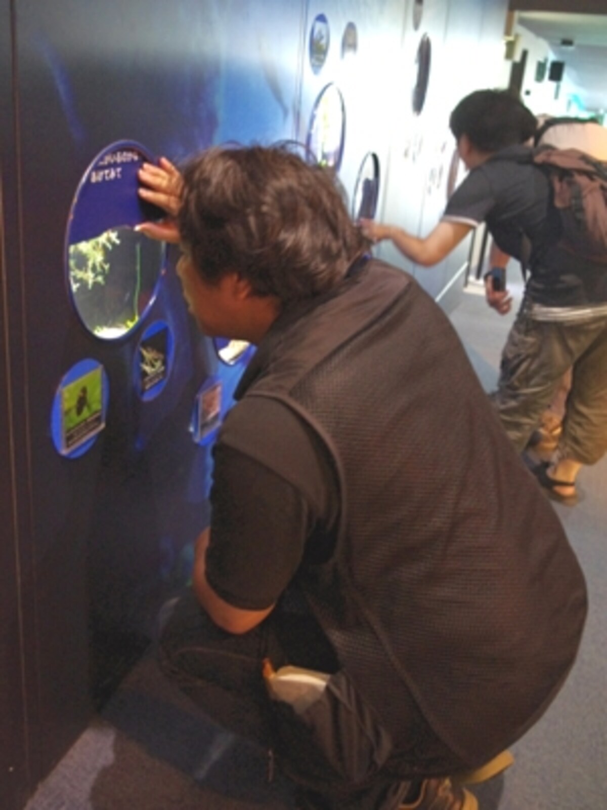 新江ノ島水族館