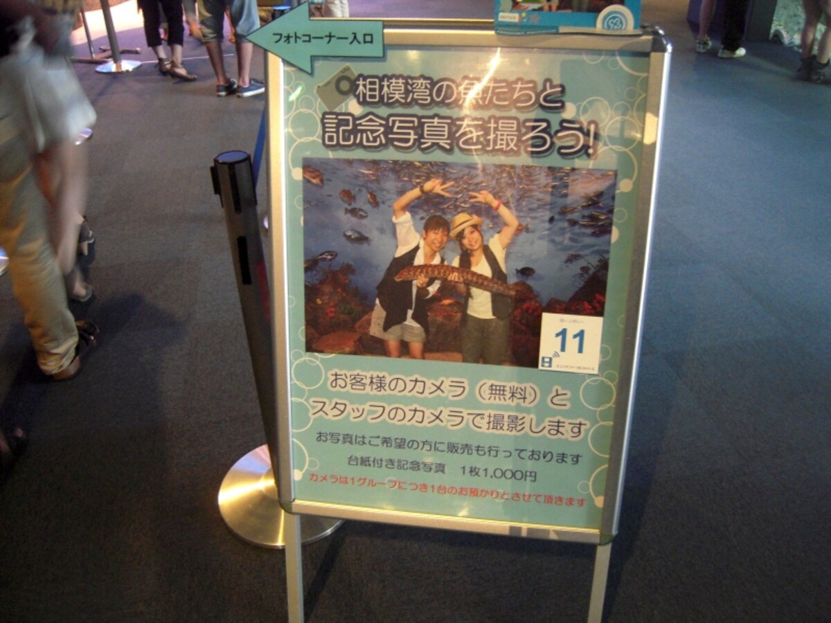 新江ノ島水族館