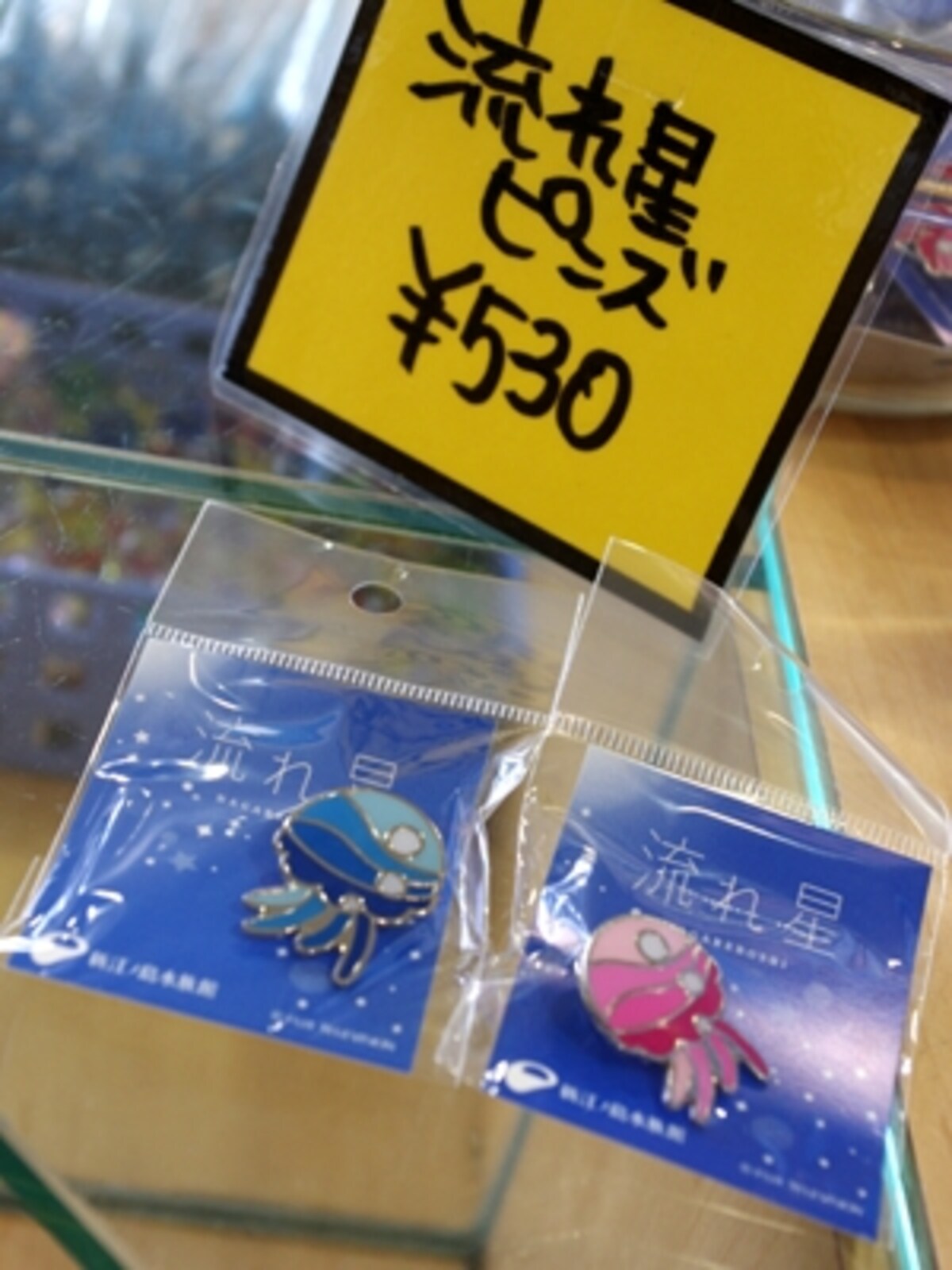新江ノ島水族館