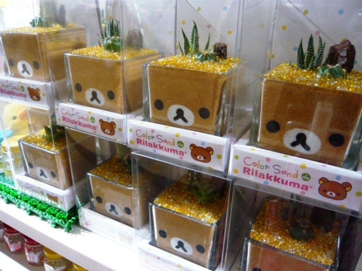 リラックマ カラーサンドサボテン