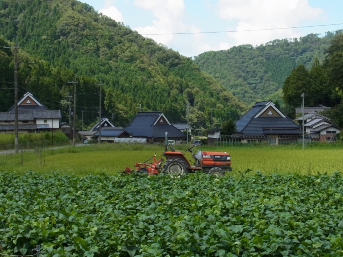 集落丸山