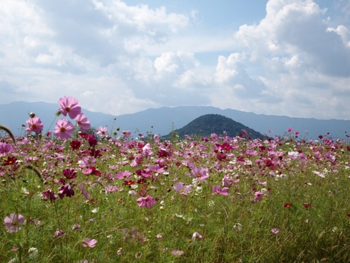 畝傍山