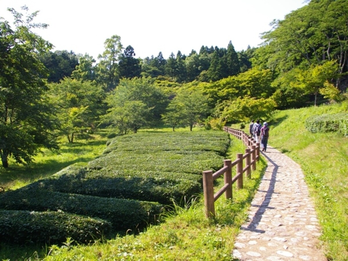 歩く