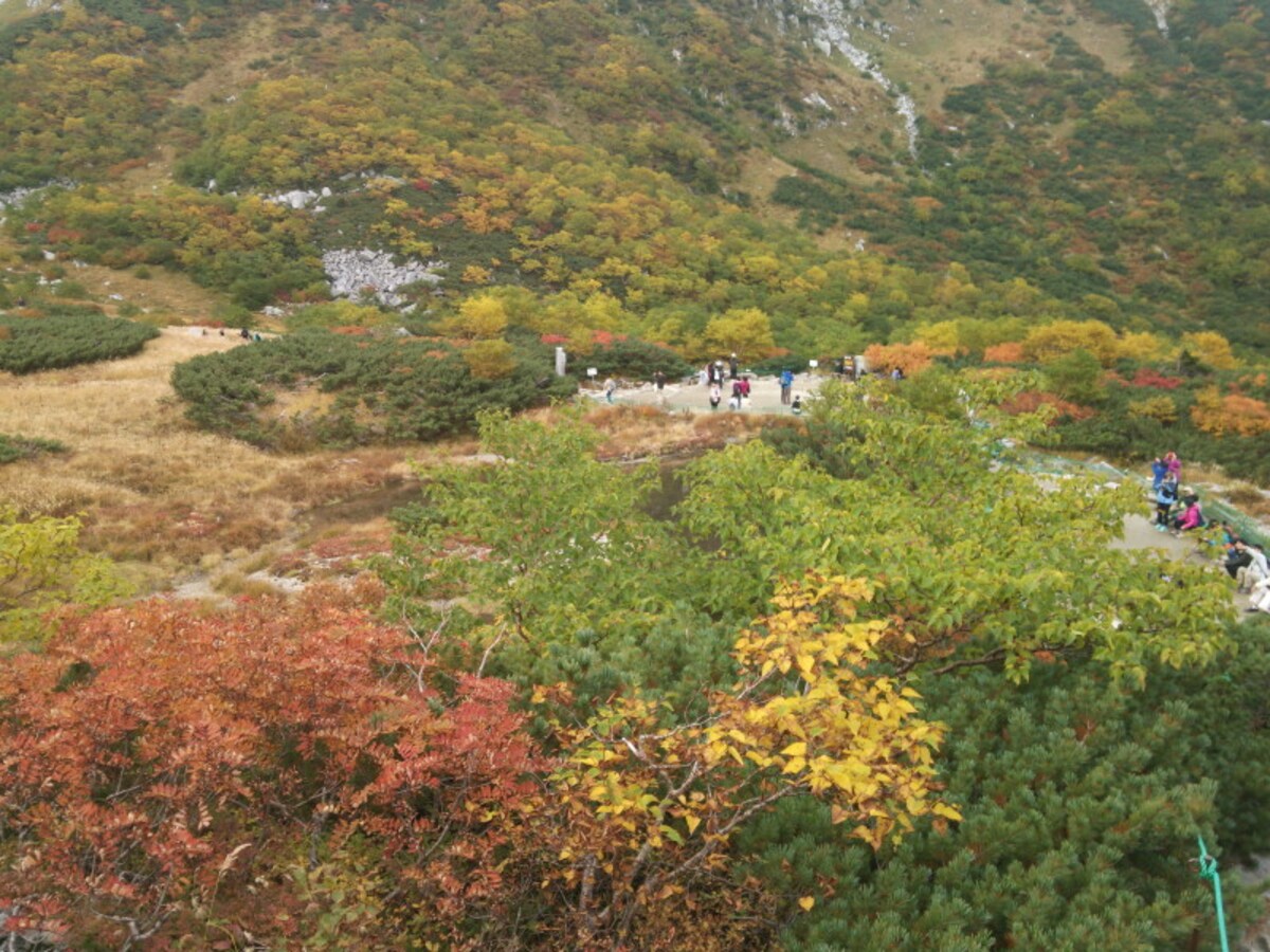 千畳敷カールの紅葉・黄葉(5)