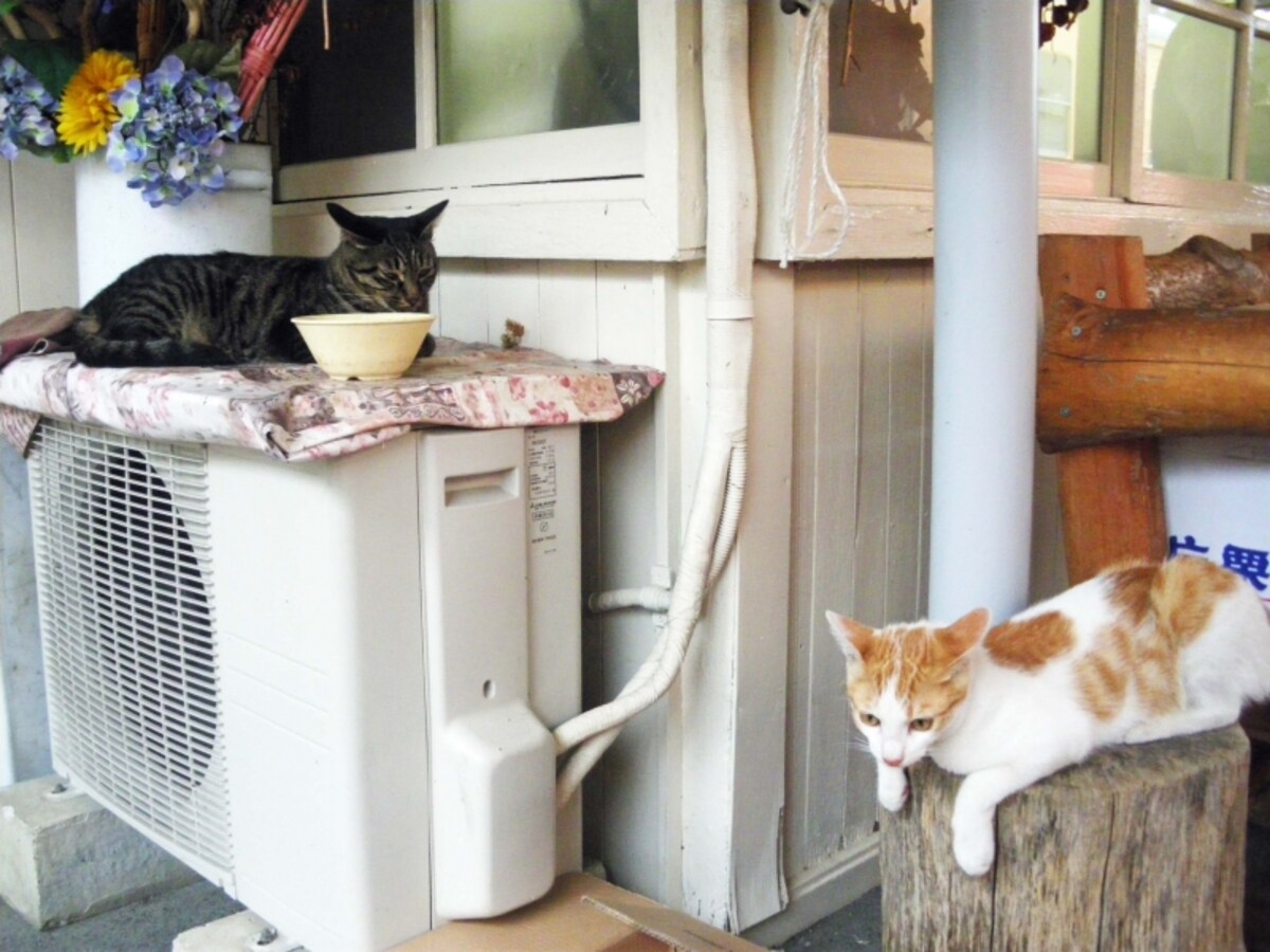 養老