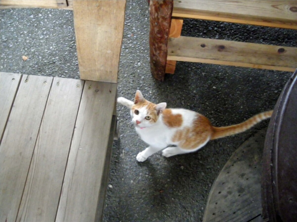 養老