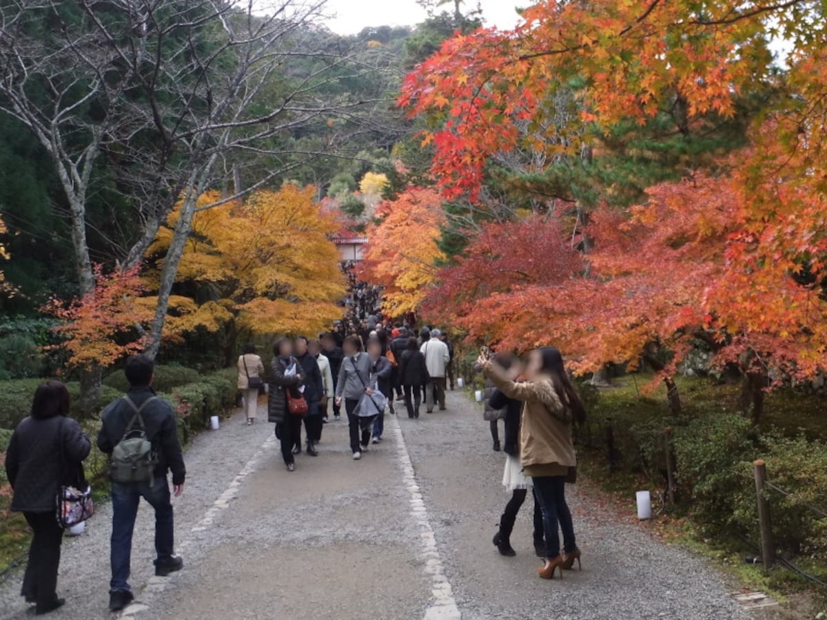 二尊院の紅葉・黄葉
